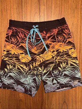 Laguna Ombre Tropical Leaf Board Shorts Swim Trunks Mens Medium